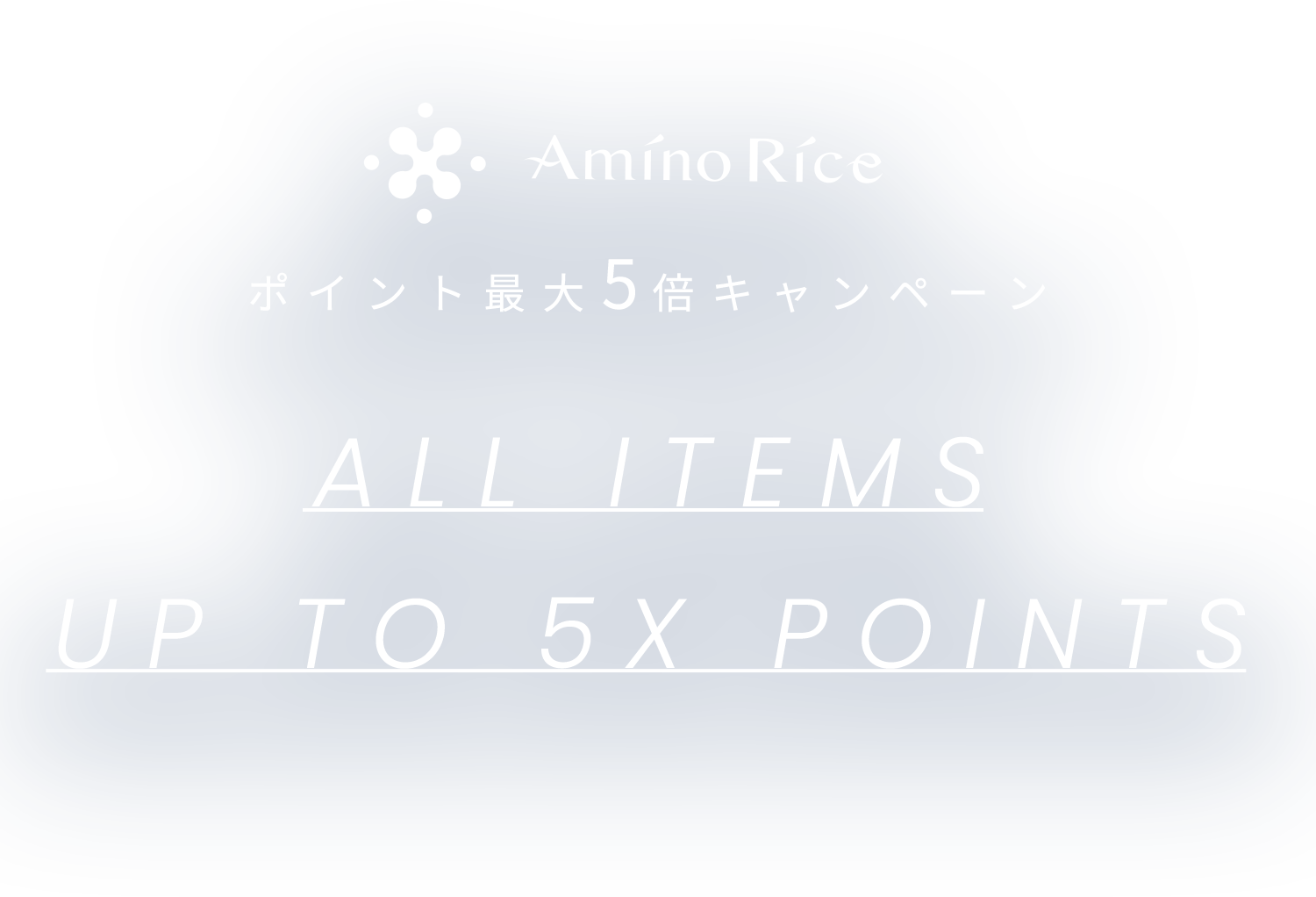 Amino Rice ポイント最大5倍キャンペーン